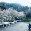 太陽は罪な奴