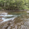 逃がした魚は大きい？真駒内川で答え合わせ