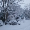 雪は厄介ですね(^^ゞ