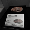 恐竜博2023 その2