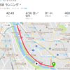 明日は気持ちだけで走ります🏃