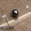 8/4〜8/5の日記