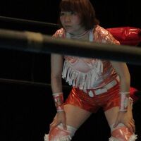 女子プロレスラー人気ランキング みんなが好きな女子レスラーは みんなのランキング２ 全てはプロレスである