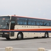 中部観光バス / 沖縄22き ・461