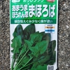 ほうれん草は寒くて成長遅いです