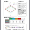 エレメンツコード 診断結果