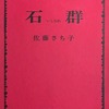 石群　佐藤さち子詩集