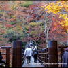 花貫渓谷・県北紅葉巡り　③