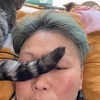 猫の集合。。