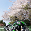 Z H2 SE オイル交換 7回目