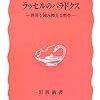 三浦俊彦 『ラッセルのパラドクス―世界を読み換える哲学』（岩波新書）