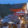 京都の桜2014・清水寺ライトアップ