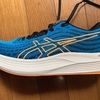 （グッズ）ASICS EvoRide speed