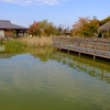 大江山公園の生態系の池（新潟県新潟）