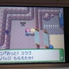 9周年から始めるポケモンプラチナプレイ日記(謎の組織編)