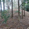 羽黒古墳（前編）　茨城県小美玉市竹原