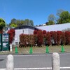 実篤記念館と実篤公園の臨時休館・休園は5/31まで延長