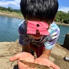四万十川で夏休みの理科の自由研究！