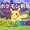 ポケモン剣盾 最速でタマゴ 卵 を孵化させる方法 ポケモンスイッチ攻略press