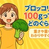 ブロッコリー100gってどのぐらい？重さや量をわかりやすく解説