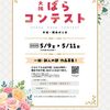 大阪ばらコンテストまで１ヶ月
