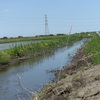 利根川水系でフナ釣り