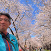 お花見！②   ふたたび桜満開の清洲城へ！