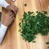 【手もみ体験】生の茶葉を手もみ＆電子レンジで煎茶にしたら、機械とどれだけ差が出るのかやってみた