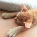 きっとライフblog