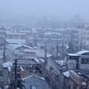 雪はテンション上がるよね？