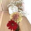 花の定期便。＋hana（タスハナ）のお花が届きました～２０２４年２月２日～
