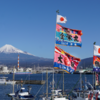 田子の浦漁港での写真が最高すぎた！キャンピングカーで田子の浦へ出かけよう