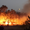 オーストラリアの山火事（bushfires）事情