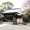 桜を見ながら金井酒造店でおいしいウメザケと曾屋神社へお詣り