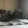 本当になかなか暖かくならない