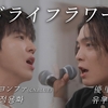 優里さんとヨンファさんのドライフラワー