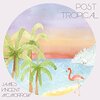 James Vinsent McMorrow『Post Tropical』　7.0