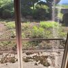 実家へ帰ってきた。