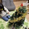 ちょっと遅くなりましたがクリスマスの準備です