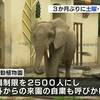 熊本市動植物園が３か月ぶりに土日祝も開園