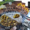 13.3kmJOG。セブンイレブンの「ほうれん草とチーズのカレー」を買い占める。渋川市民プール。