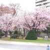 触るグリフ