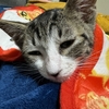 一進一退。