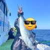 サバ餌の作り方！現地で釣ったサバで大物を狙う