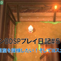 ポケモンbdsp 6 ポケモンを連れ歩きたい トバリシティで Vsスモモ Yo Craft ヨークラフト