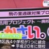 「玉ねぎ・ネオアース」を定植しました。