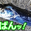 【#7】🐟ヒラメダービーで座布団を釣り上げたい❗(動画初魚種…の巻～)・・・in遠州灘【釣行日2023/10/17(火)】