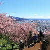 早春登山探訪　関東編