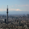 東京スカイツリー＆富士山