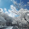 雪の中のドライブ  前編